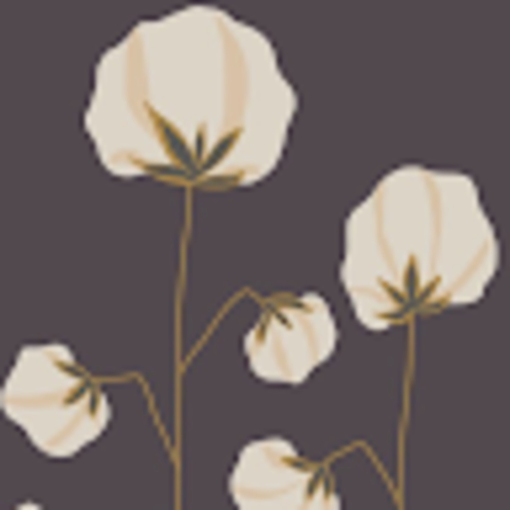 Meet your Posher, Kristie